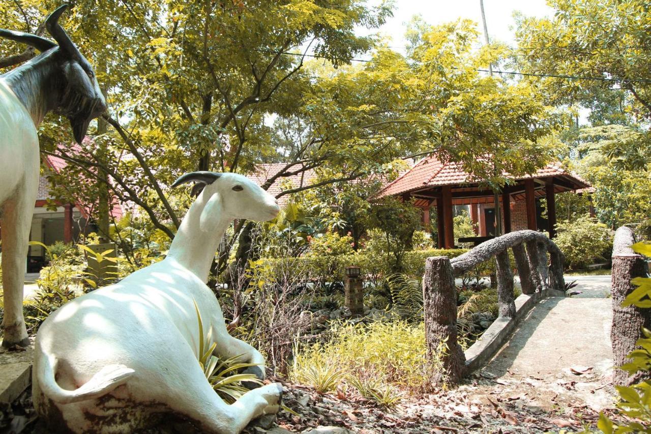 Hang Mua Valley Homestay Νιν Μπιν Εξωτερικό φωτογραφία