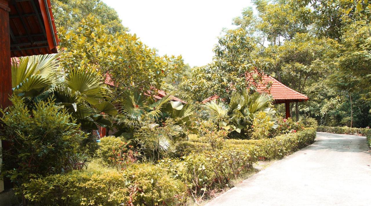 Hang Mua Valley Homestay Νιν Μπιν Εξωτερικό φωτογραφία