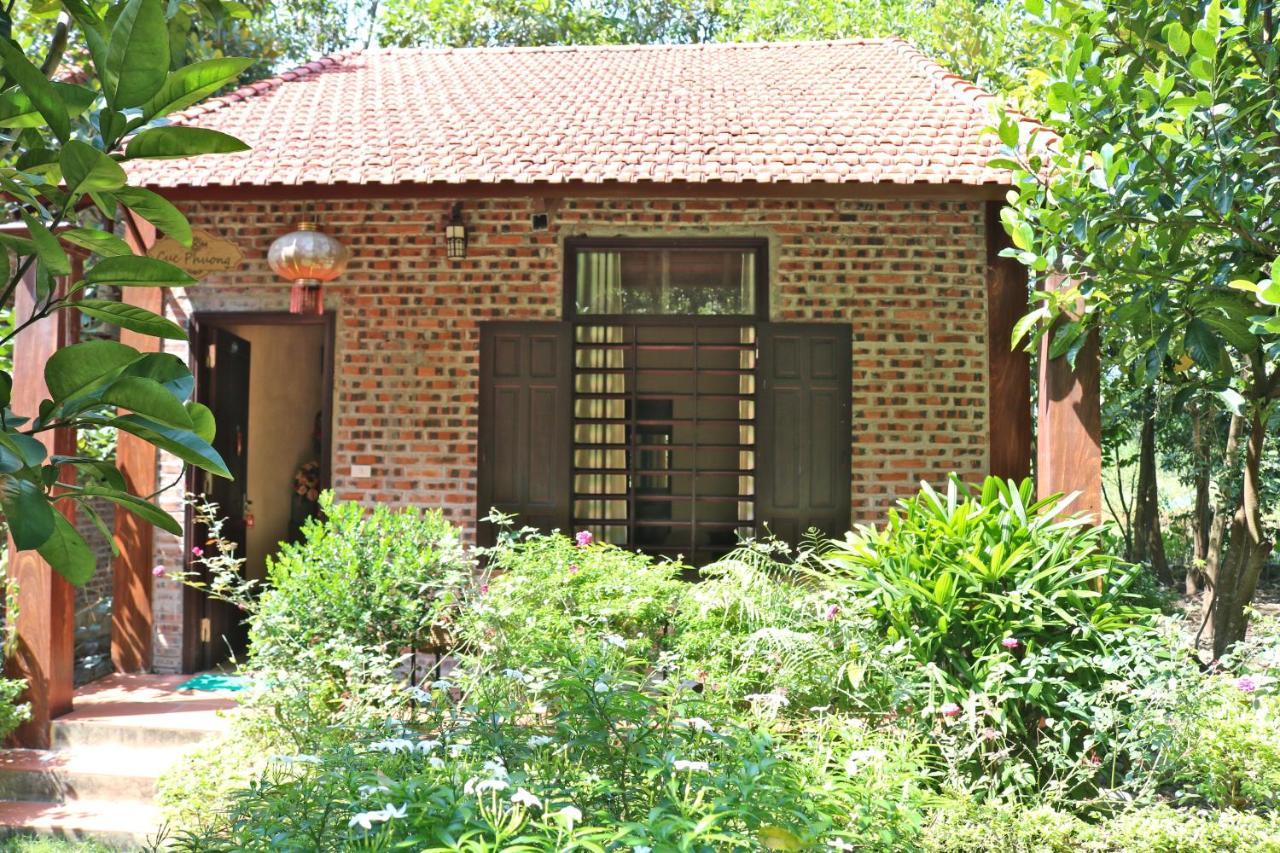Hang Mua Valley Homestay Νιν Μπιν Εξωτερικό φωτογραφία